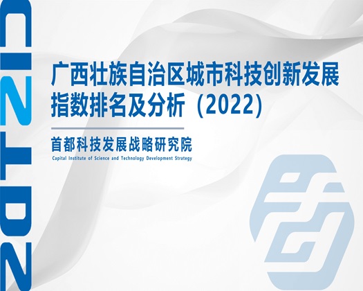 操操操操逼网站【成果发布】广西壮族自治区城市科技创新发展指数排名及分析（2022）